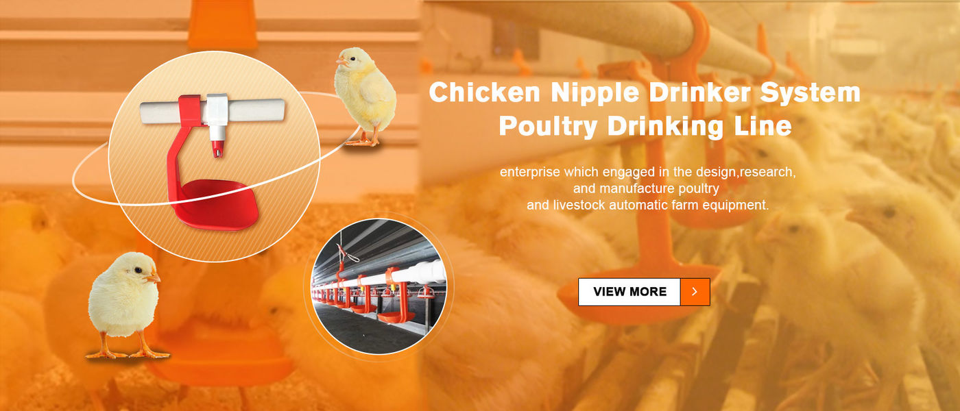China el mejor Sistema de bebedero de niple de pollo en ventas