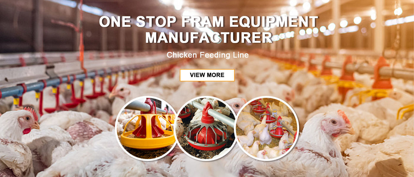 China el mejor Cacerola de la alimentación de aves de corral en ventas