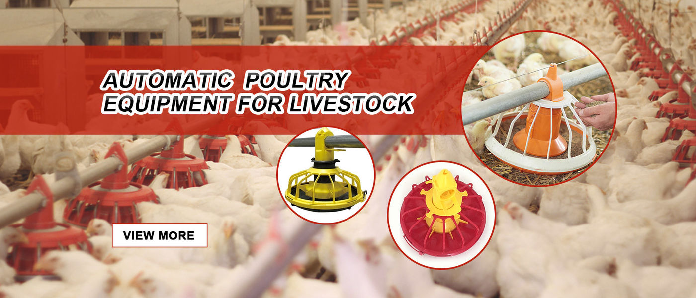 China el mejor Sistema automático de la alimentación de aves de corral en ventas