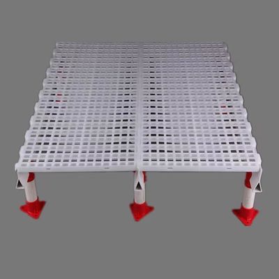 1200x500mm Chicken House Floor Slats Poultry Slatted Floor