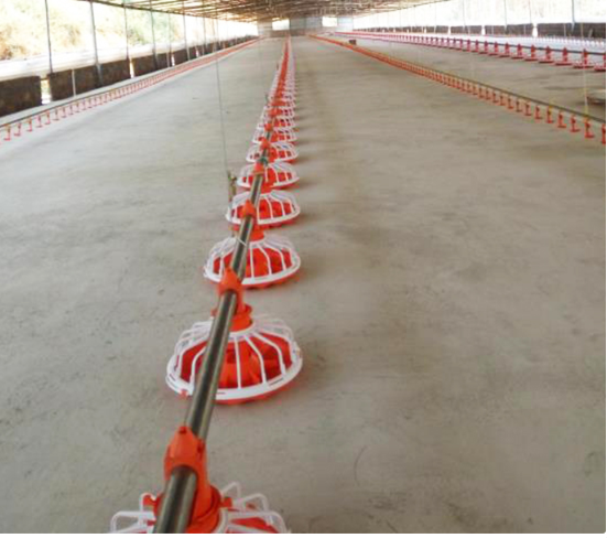 Alimentador completamente automático del taladro de las aves de corral del sistema del taladro de la alimentación de pollo para la granja 0