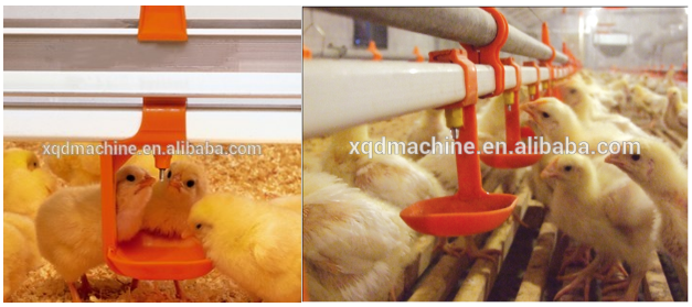Poultry Bird Quail broiler small doc baby chicken Nipple Drinker dripping Cup for water system