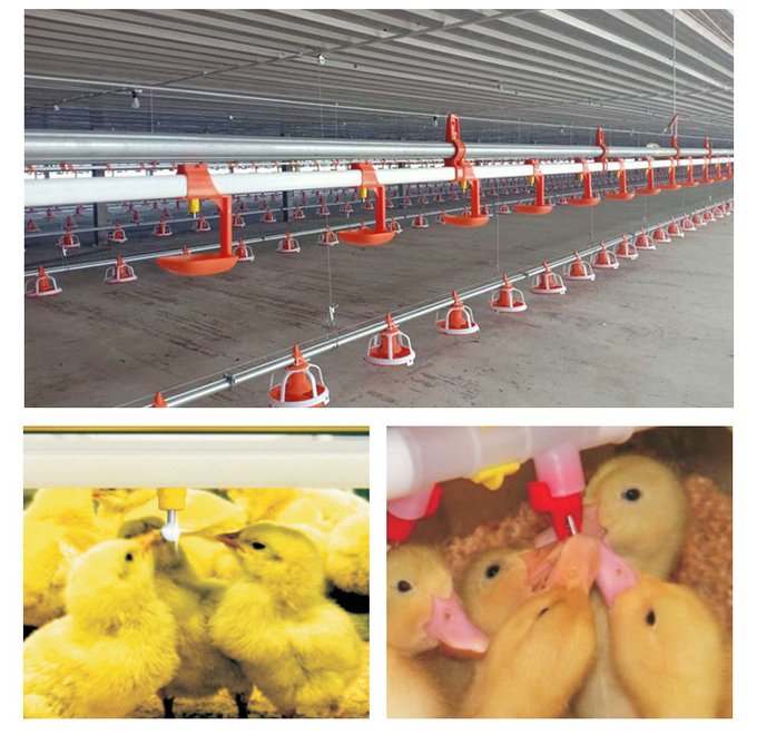Proveedor de consumición 2 del bebedor de la entrerrosca del sistema del pollo automático de las aves de corral
