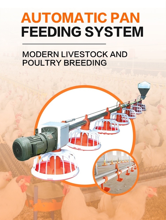 Equipamiento agrícola de alimentación 0 del pollo del sistema de las aves de corral de la parrilla automática del equipo