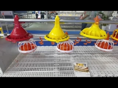 Sistema automático de la alimentación de aves de corral