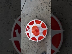 Máquina de alimentación automática para la granja de pollo, línea de alimentación simple, sistema completo de equipo de alimentación