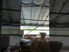 Voltaje automático modificado para requisitos particulares del equipo del alimentador de la granja de pollo ajustable