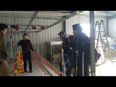 Entrerrosca Waterer de los bebedores del sistema de riego del agua potable de los patos de los gansos para el cultivo de la avicultura del pájaro