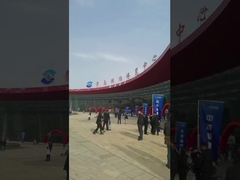 Línea de alimentación del pollo